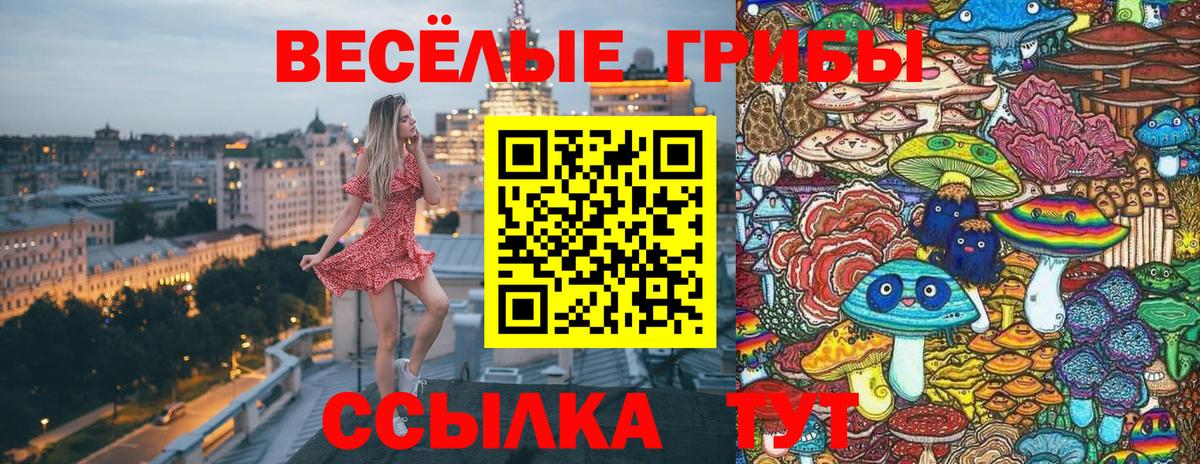 Псилоцибиновые грибы Cubensis Лабинск